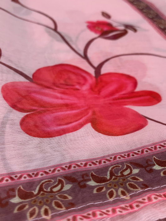 Blush Breeze Organza Dupatta