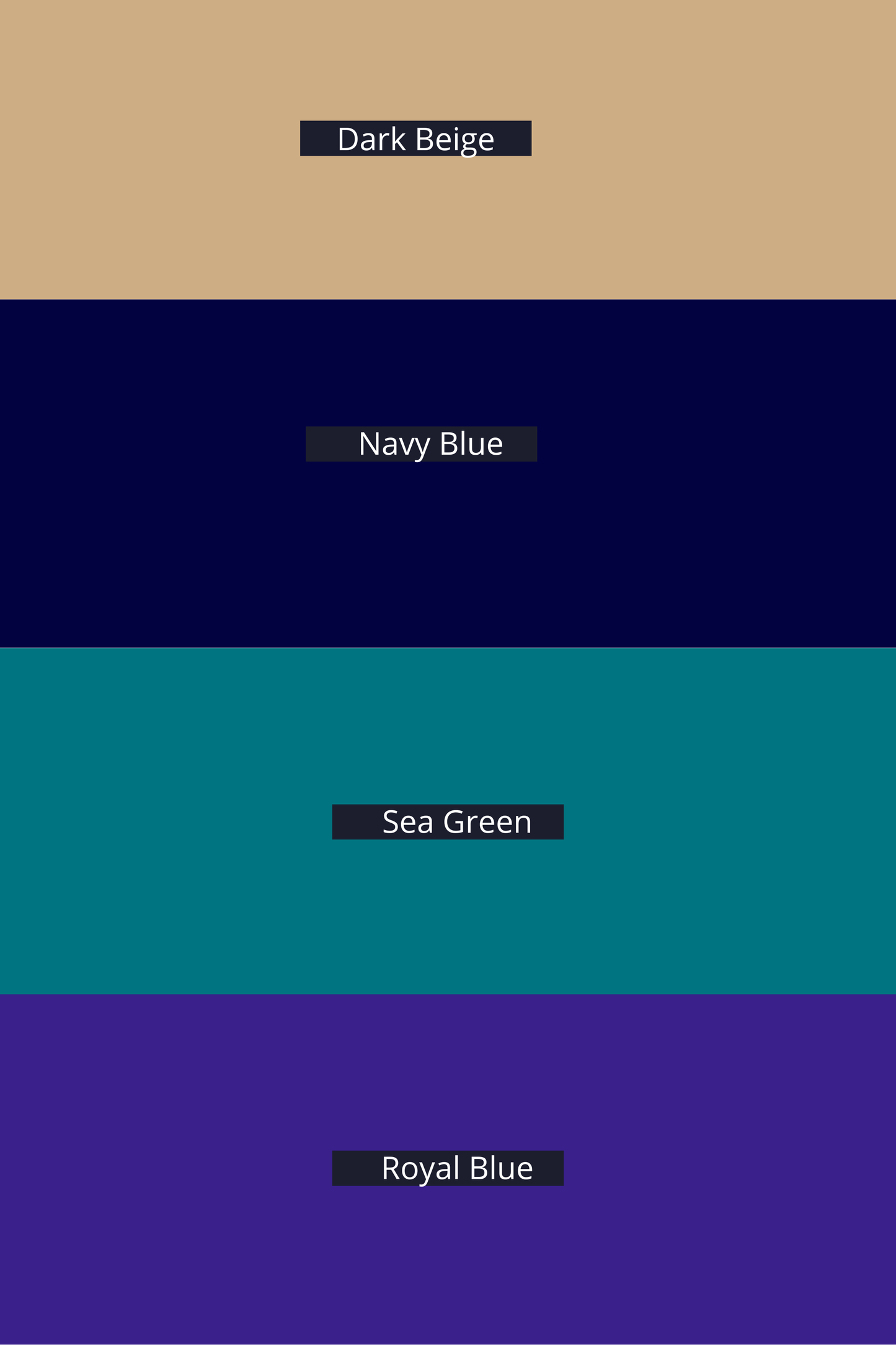 Woollen Cashmilon Pant Palazzo